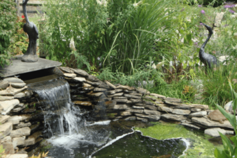 {{brizy_dc_image_alt imageSrc=